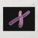 Recherche de chromosome cartes postales Microscopique