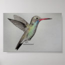 Recherche de de colibri art Inspirant