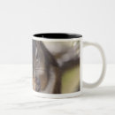 Recherche de mangeant tasses Foyer sélectif