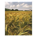 Recherche de orge posters Seigle