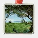 Recherche de nature ornements Dehors