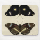 Recherche de papillon coloré tapis souris Insecte