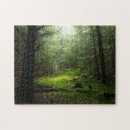 Recherche de tronc puzzles Nature