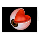 Recherche de oeil humain cartes postales Médecine