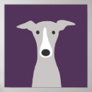 Recherche de whippet dog posters Greyhound