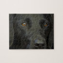 Recherche de labrador noir puzzles Chien