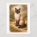 Recherche de chat siamois cartes postales Vintage