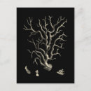 Recherche de plan cartes postales Arrière plan noir