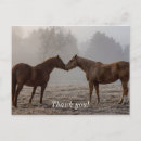 Recherche de merci des avec des chevaux postales cartes remerciements cartes Animaux