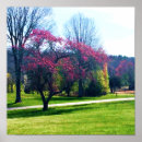 Recherche de crabe posters Peinture murale