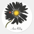 Recherche de pétales de marguerite autocollants Fleur