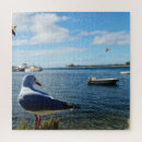Recherche de nautique puzzles Goéland