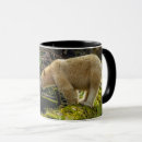 Recherche de ruisseau tasses Colombie britannique