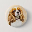 Recherche de cavalier badges Chien