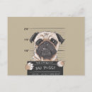Recherche de mauvais chien cartes postales Chiot