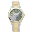 Recherche de loup gris montres Amoureux du loup