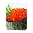Recherche de sushi magnete Cuisine