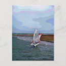 Recherche de planche voile cartes postales Surf