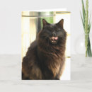 Recherche de cartes halloween Noir