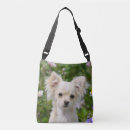 Recherche de chihuahua sacs Drôle
