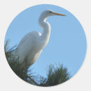 Recherche de egret autocollants Nature