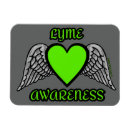 Recherche de coeur à ailes magnets Sensibilisation