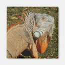 Recherche de blooded Cold blooded