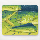 Recherche de espèce marine tapis souris Poissons