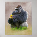 Recherche de singe gorille posters Jungle