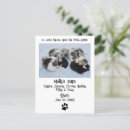 Recherche de annonces de naissance cartes postales Mignon