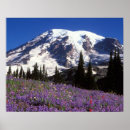 Recherche de de lupin posters Paysage