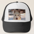 Recherche de sibérien casquettes Chien de traîneau sibérien