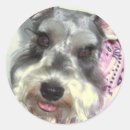 Recherche de schnauzer miniature autocollants Animal