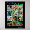 Recherche de brasil posters Nature