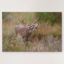 Recherche de cerf puzzles Antlers