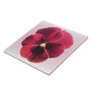 Recherche de baignoire carreaux Cuisine