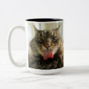 Recherche de maine coon tasses Félin