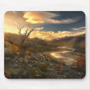 Recherche de solitude tapis souris Arbre