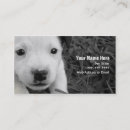 Recherche de séance de chien cartes visite Chiot