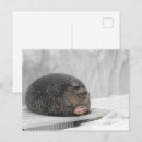 Recherche de ronde forme cartes postales Ami