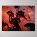 Recherche de ciel sombre art Nature