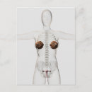 Recherche de vue 3d cartes postales Trois dimensions