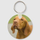 Recherche de cabot accessoires Animal familier