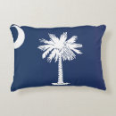 Recherche de drapeau américain maison coussins Illustration