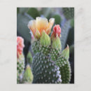 Recherche de fleurs jaunes cartes postales Nature