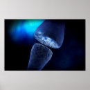 Recherche de impulsion posters Synapses chimiques