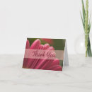 Recherche de gerber rose vœux cartes Fleur