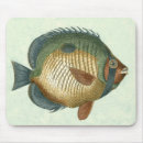 Recherche de ailerons tapis souris Animal