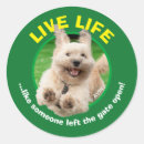 Recherche de chien courant autocollants Animal