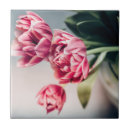 Recherche de tulipes de ressort carreaux Botanique
